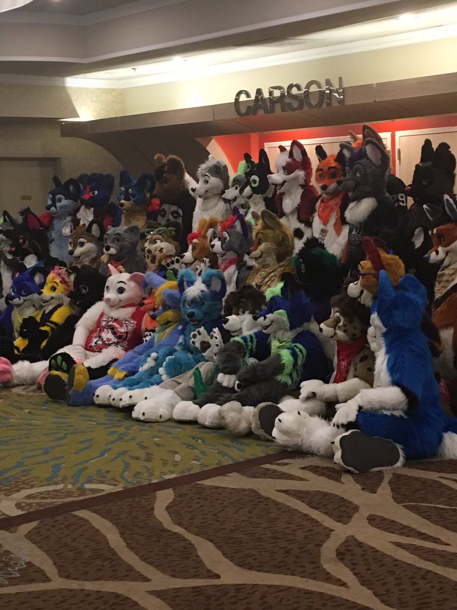 FoxDublith's tweet photo. I had a blast at BLFC! It was my first con and I loved it so much! I can't wait for next year! #ProCon2017 https://t.co/pc7taVwV6O