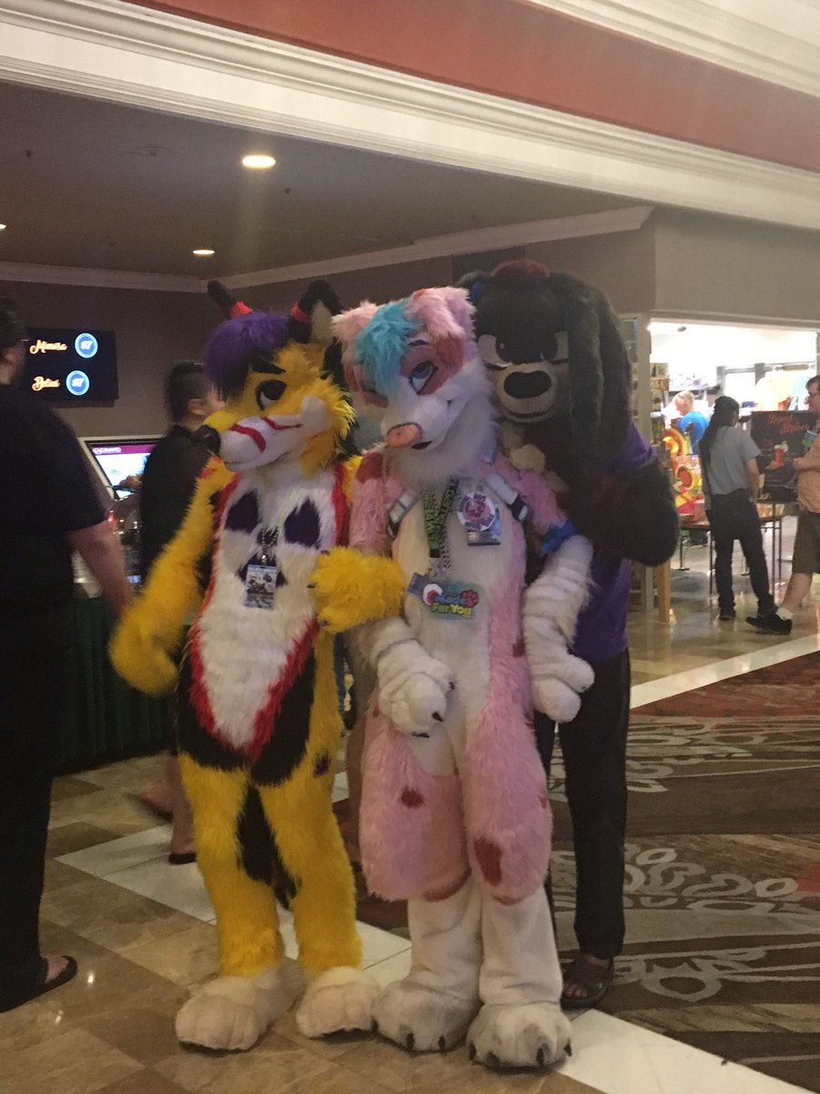 FoxDublith's tweet photo. I had a blast at BLFC! It was my first con and I loved it so much! I can't wait for next year! #ProCon2017 https://t.co/pc7taVwV6O