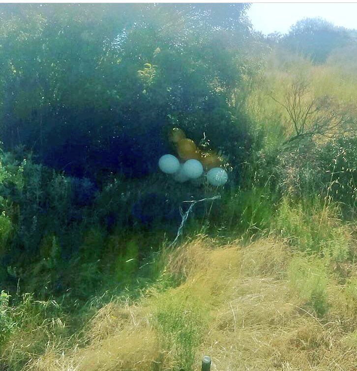 jesse_mtb's tweet photo. Found someone's graduation balloons out on the trails @sdmba #cityofsantee #mtb #keeptrailsclean https://t.co/VxIrwtBTQf
