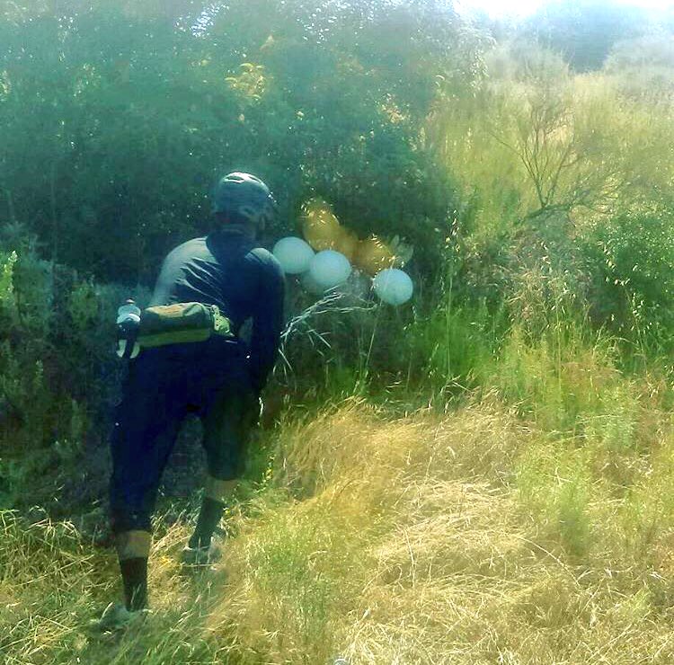 jesse_mtb's tweet photo. Found someone's graduation balloons out on the trails @sdmba #cityofsantee #mtb #keeptrailsclean https://t.co/VxIrwtBTQf