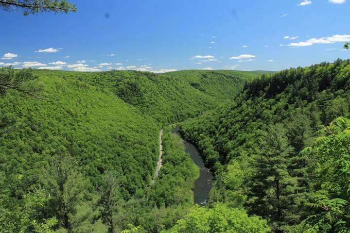 herslaura's tweet photo. PA's Grand Canyon. #pagrandcanyon #coltonpointstatepark #pastateparks https://t.co/d74Zrg7da4