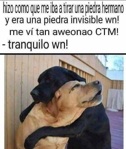 TerapiaConAnima's tweet photo. En un mundo paralelo...
Con un poco de humor es fácil comprender a nuestros hermanos chicos. https://t.co/gJryZxV0XW