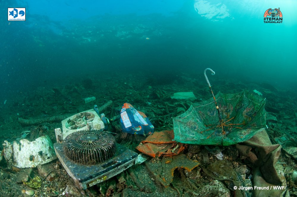 marinebuddies's tweet photo. Salah satu penyebab kematian satwa laut ialah sampah plastik di laut yang dianggap sebagai makanan #TemanTamanLaut https://t.co/XmFnDDPJlu