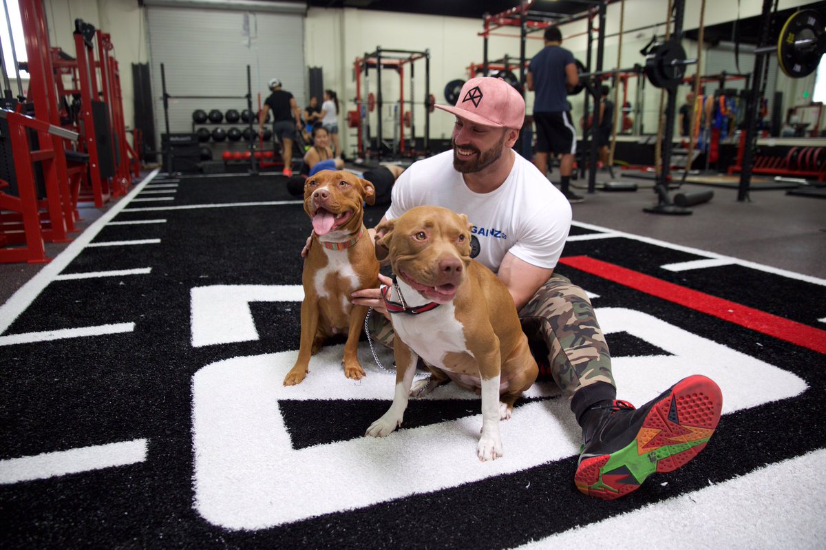 BradleyMartyn's tweet photo. My girls! https://t.co/1O0ptogU3D