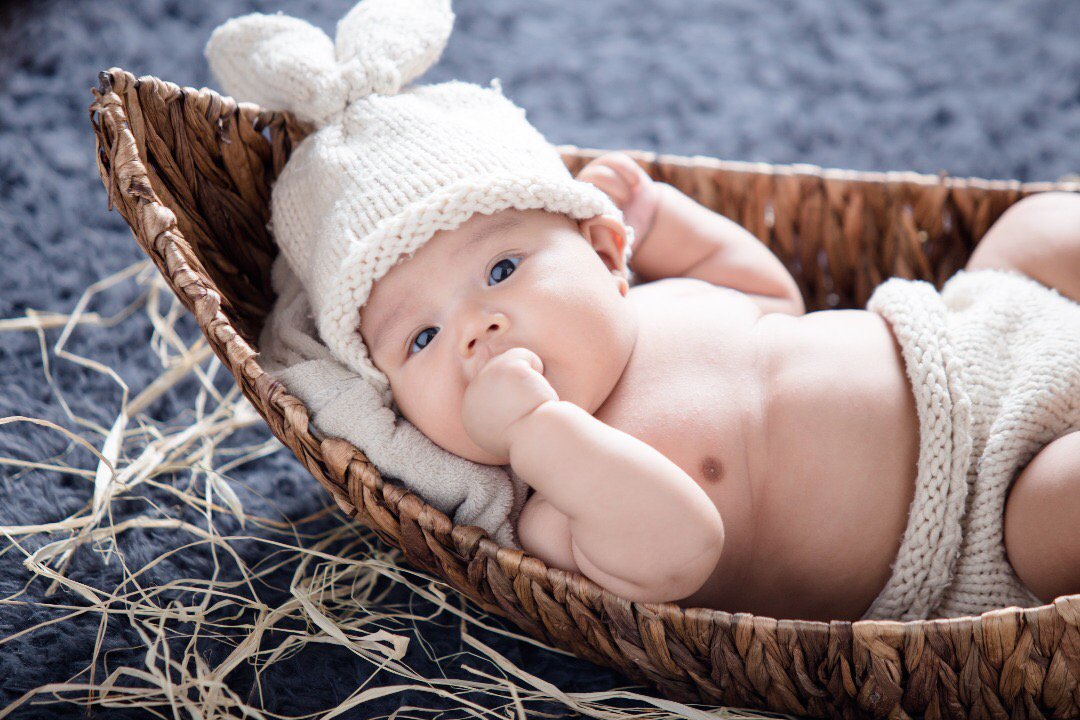 Ali Humdani tweet media