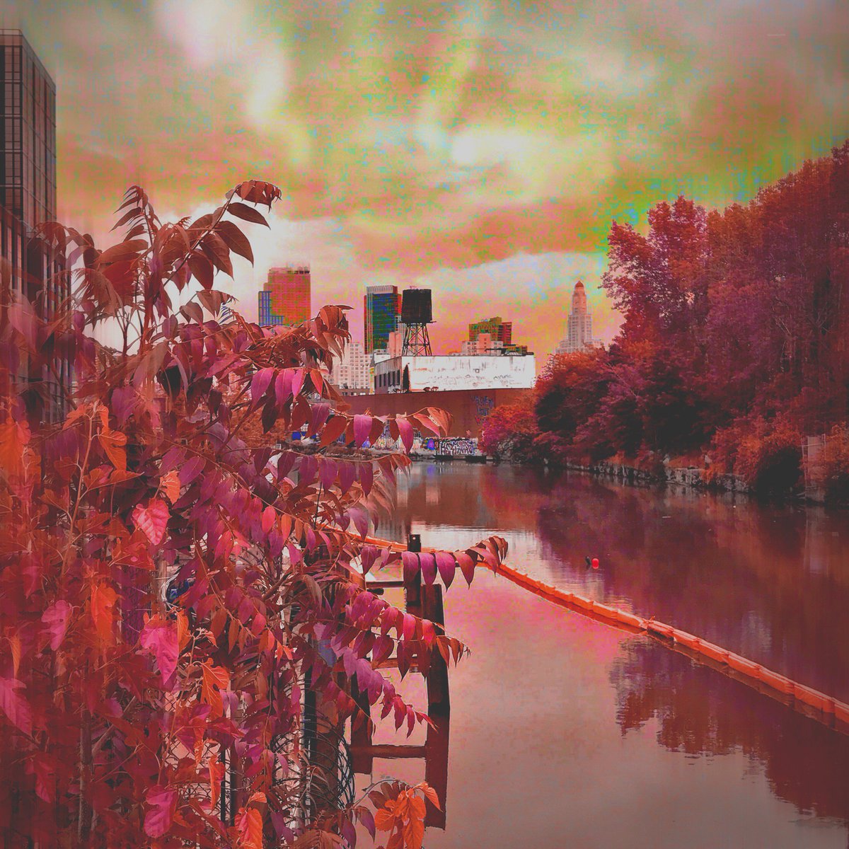 eslieber's tweet image. Gowanus Borealis 155/365 #Hipstamatic #AuroraNCL #MidnightSunAS