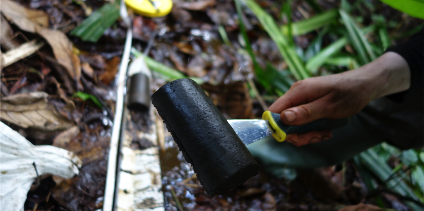 ForestTechTalk's tweet photo. #ForestryTechnology: Congo's hidden carbon https://t.co/sDKYtEz2eH https://t.co/EhzhgR7DRA
