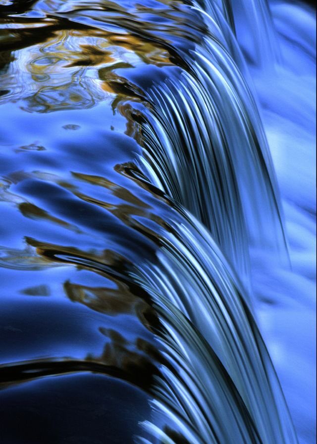 SeeBooPlay's tweet photo. #Bluebeauties ๐ #emeraldcity >>> #thecolorisblue ...#pinterestisbae https://t.co/99UKgXd7qx