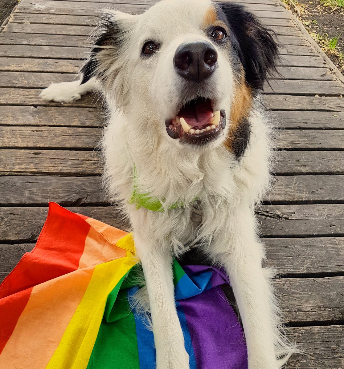 borderKyle's tweet image. Happy Pride, Winnipeg ❤💛💚💙💜 I am proud to have 2 moms 🌈
#pridewpg #happypride
