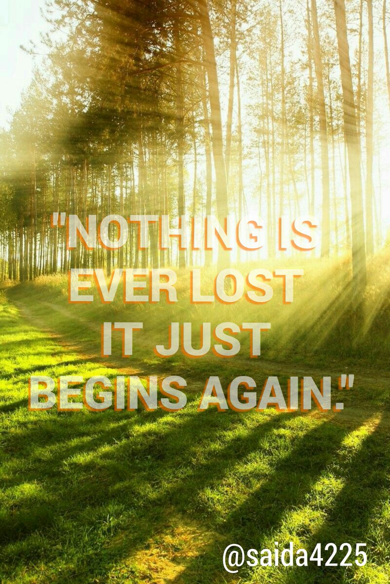 saida4225's tweet photo. "Nothing Is Ever Lost 
It Just Begins Again."

#GoodMorningWorld #IQRTG #MondayMotivation #Mpgvip #InspireOthersWithKyle #MakeYourOwnLane https://t.co/Uh2OoNJiEp