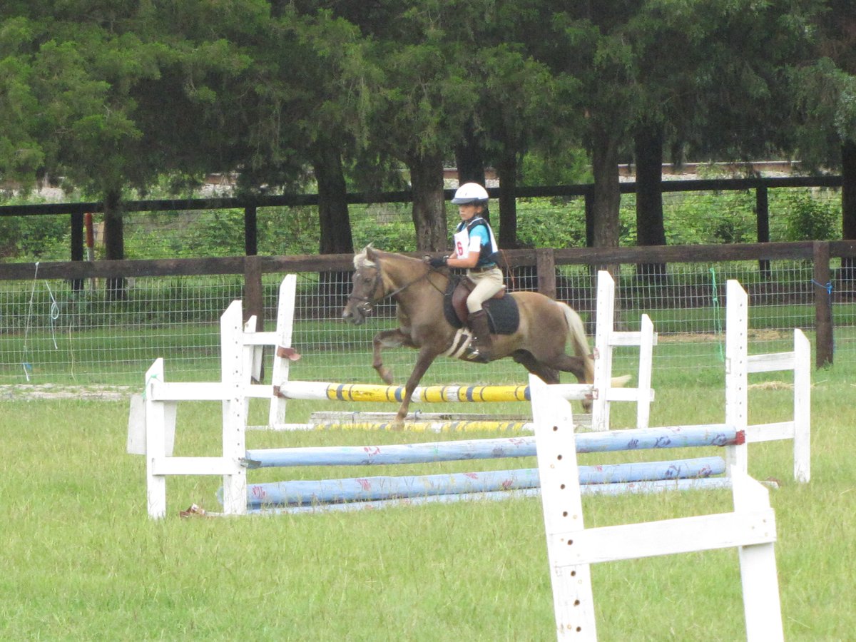 castlefarm tweet media