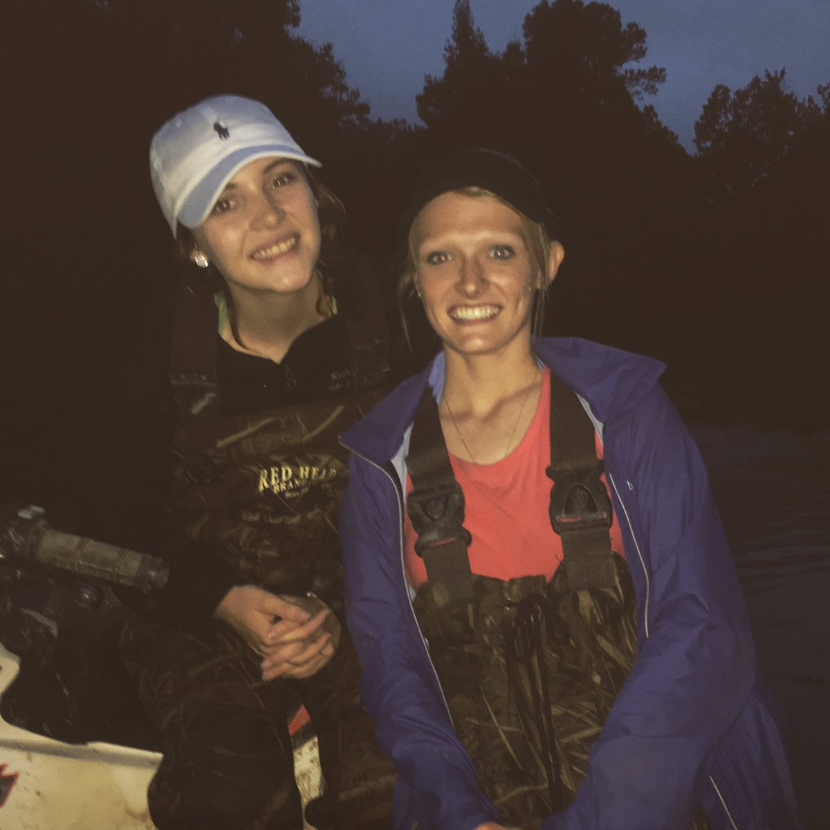 bugfreels's tweet image. 