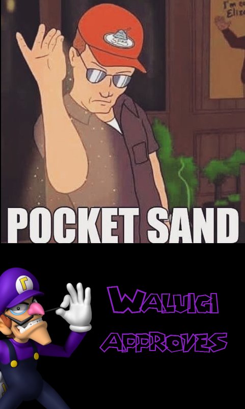 WolfDNA92's tweet photo. @TheWAH_and_Only Waluigi time was amazing! Easily my favorite part of the entire Con at Kalahari!! https://t.co/aX7GNKYeiB