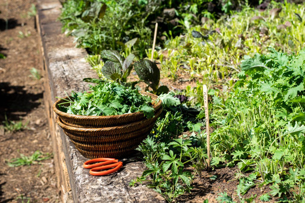 hellotofit's tweet photo. #sponsored New post! Exploring Agritourism at @PippinHillFarm [+ exclusive recipe!] https://t.co/7Ww0ymjKZv https://t.co/ouOJNwyIFH
