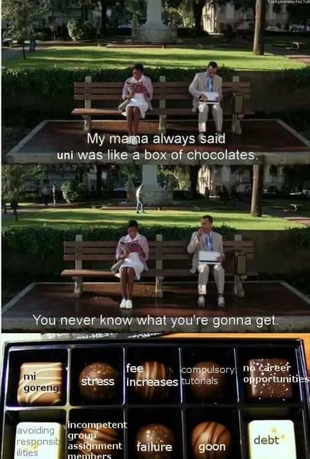 which one did you get?