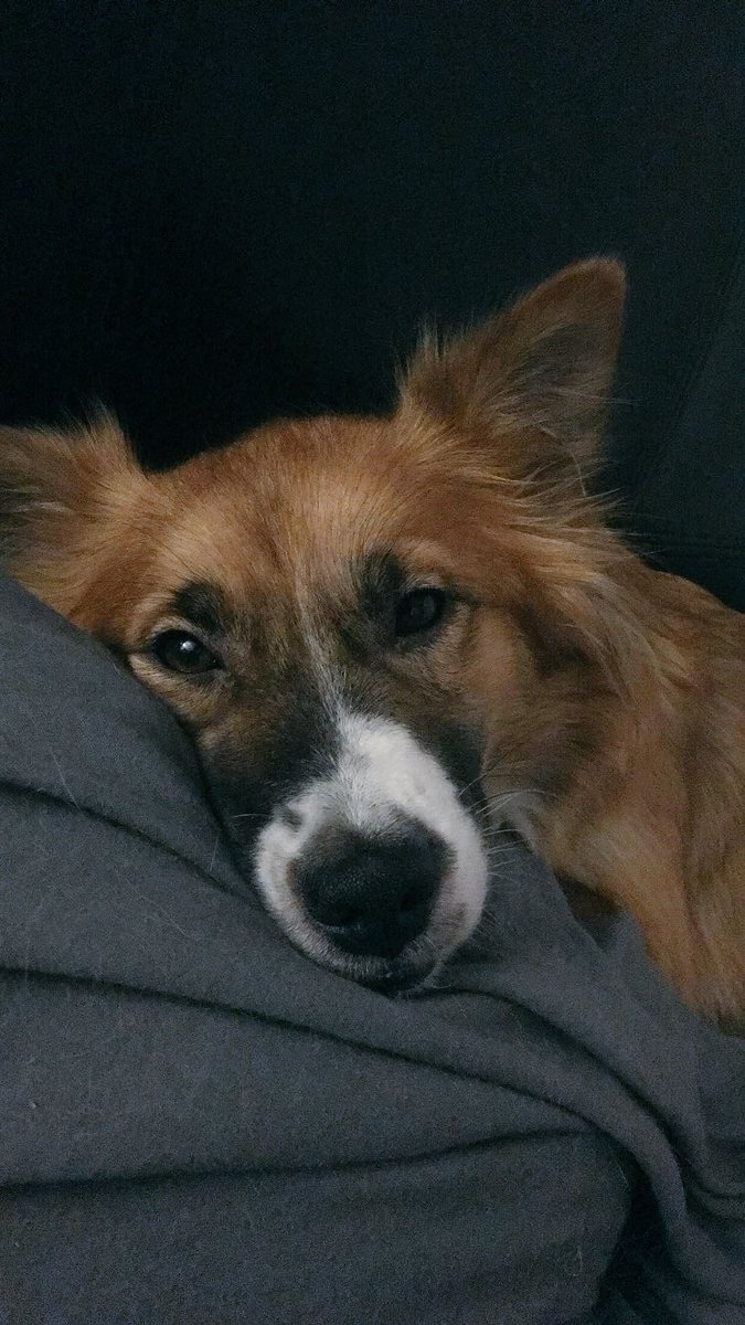 Jereeharper's tweet photo. "Mom I don't want to watch Friends for the 12th time" https://t.co/3v5pl564Iq