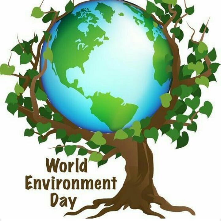 harish3patel's tweet photo. #WorldEnvironmentDay2017
#SavetreeSaveworld
#GOGREEN https://t.co/pBGNUkEtXE