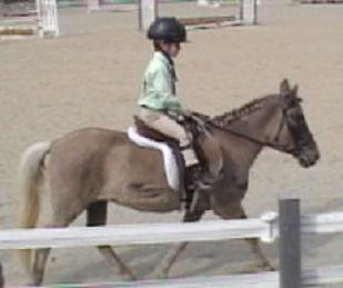 castlefarm tweet media