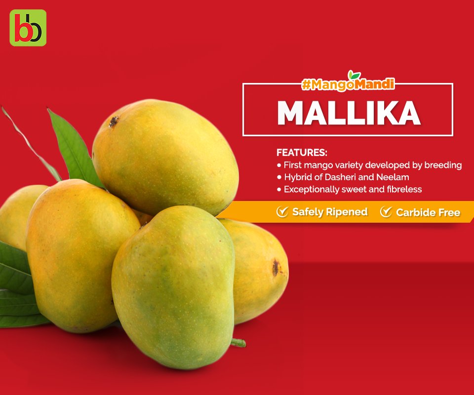 bigbasket_com's tweet photo. #DidYouKnow this variety was introduced by Dr Pijush Kanti Majumdar. Get them here for yourself: https://t.co/Q5sD6nY7Ya #MangoMandi https://t.co/113KG5yutO