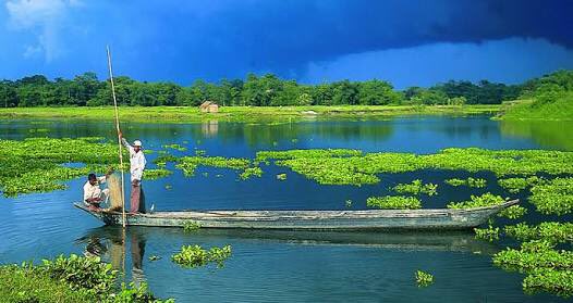 himantabiswa's tweet photo. Let's joinΒ #AwesomeAssam~Get Close to Nature Campaign. Pl post photos capturing natural beauty around you with hashtag #AssamEnvironment https://t.co/Ql1DOl8IBO