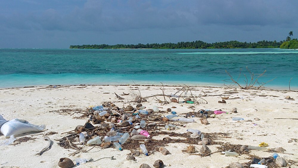 UN in the Maldives tweet media