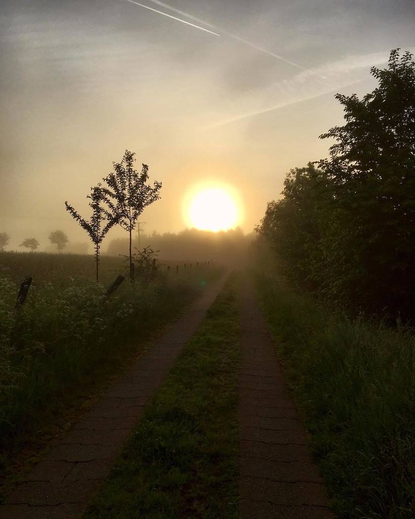 Tedalien's tweet photo. Is when we lose ourselves that we become aware of the path. - Ted
#buongiorno #love #sunset #goodmorning #igramer… https://t.co/xZ9YGwmcnl https://t.co/fXSs1e9VNl