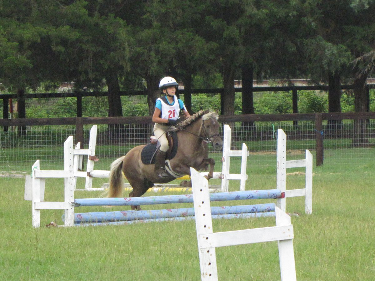 castlefarm tweet media