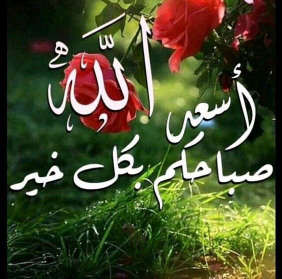 لقد عن تويتر أكثر من شهرين ولم أنشر ولم أتابع بسبب أنشغالي وهاأنا أعود لأتابع ما ينشر الأصدقاء وأنشر أن سمحالوقت لي لكم مني كل الود والمحبة
