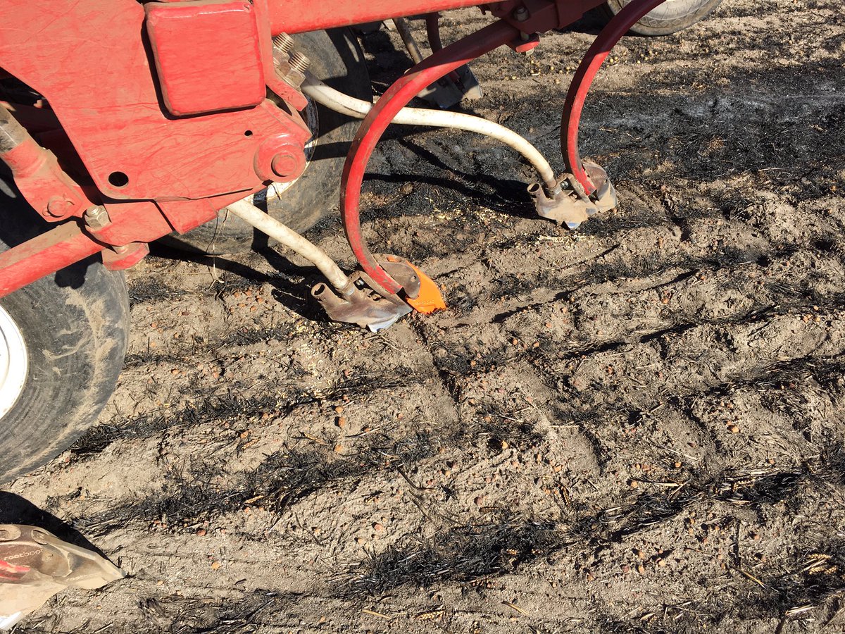 dixon_sb's tweet image. Orange makes it grow faster #rootboot