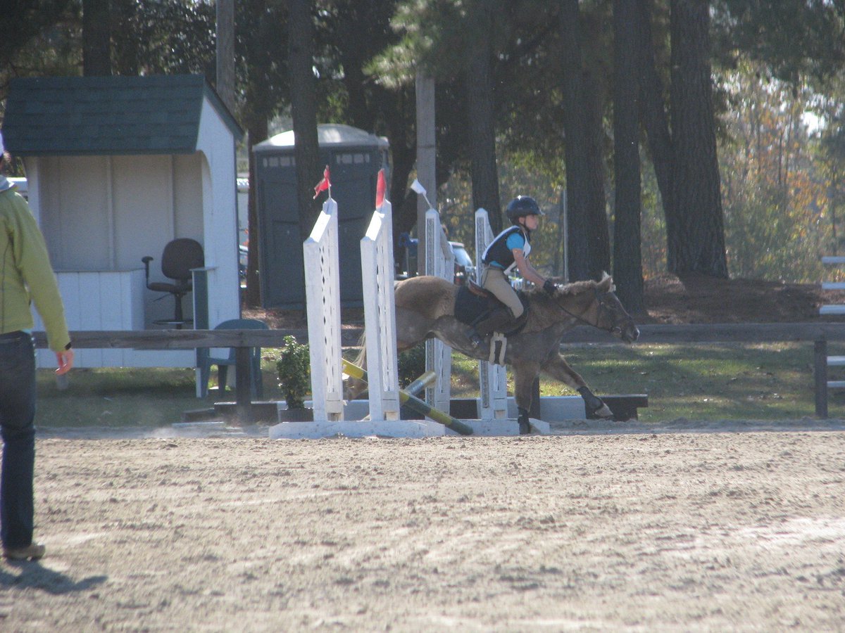 castlefarm tweet media
