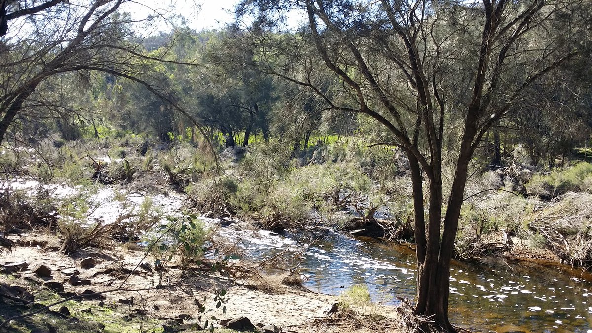 griddles83's tweet photo. Syd's Rapids walk at #Walyunga national park (featuring "Dragon Rock!") https://t.co/WmfxBli9K9
