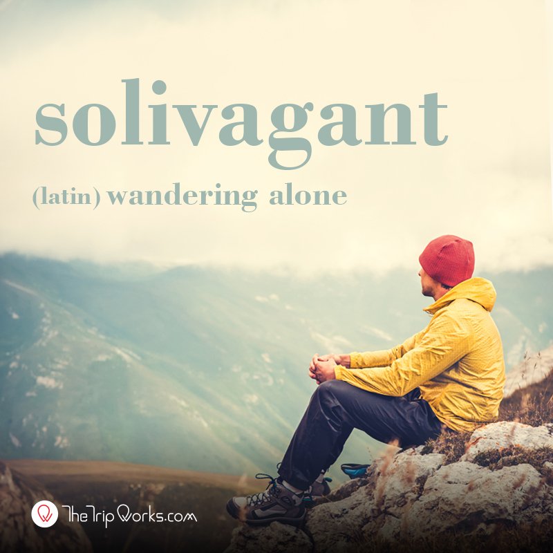 TheTripWorks's tweet photo. Not all those who wander are lost. Those who wander alone are solivagant #wordfortoday #travelword https://t.co/cF7psI6z2H