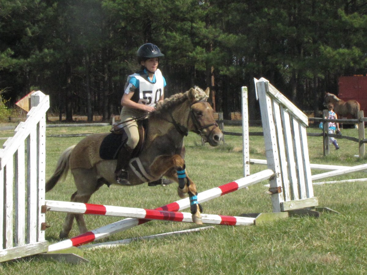 castlefarm tweet media
