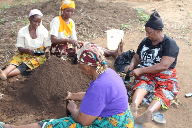 AFERIA Project tweet media