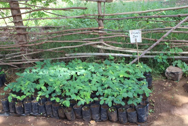 AFERIA Project tweet media