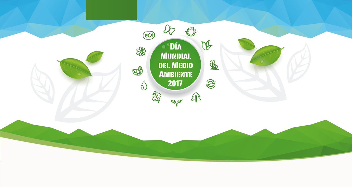 Hoy estaremos celebrando el #DiaMundialdelMedioAmbiente en el Clot de Galvany (Elche). Os iremos contando más detalles de la actividad 🌲🌴🌱