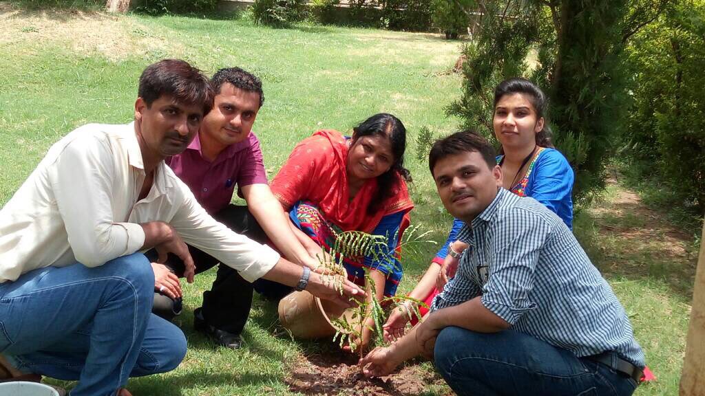 #WorldEnviornmentDay indeed connects people to the nature! GMB takes #GreenPledge, by sowing plantlets to make the surrounding even greener.