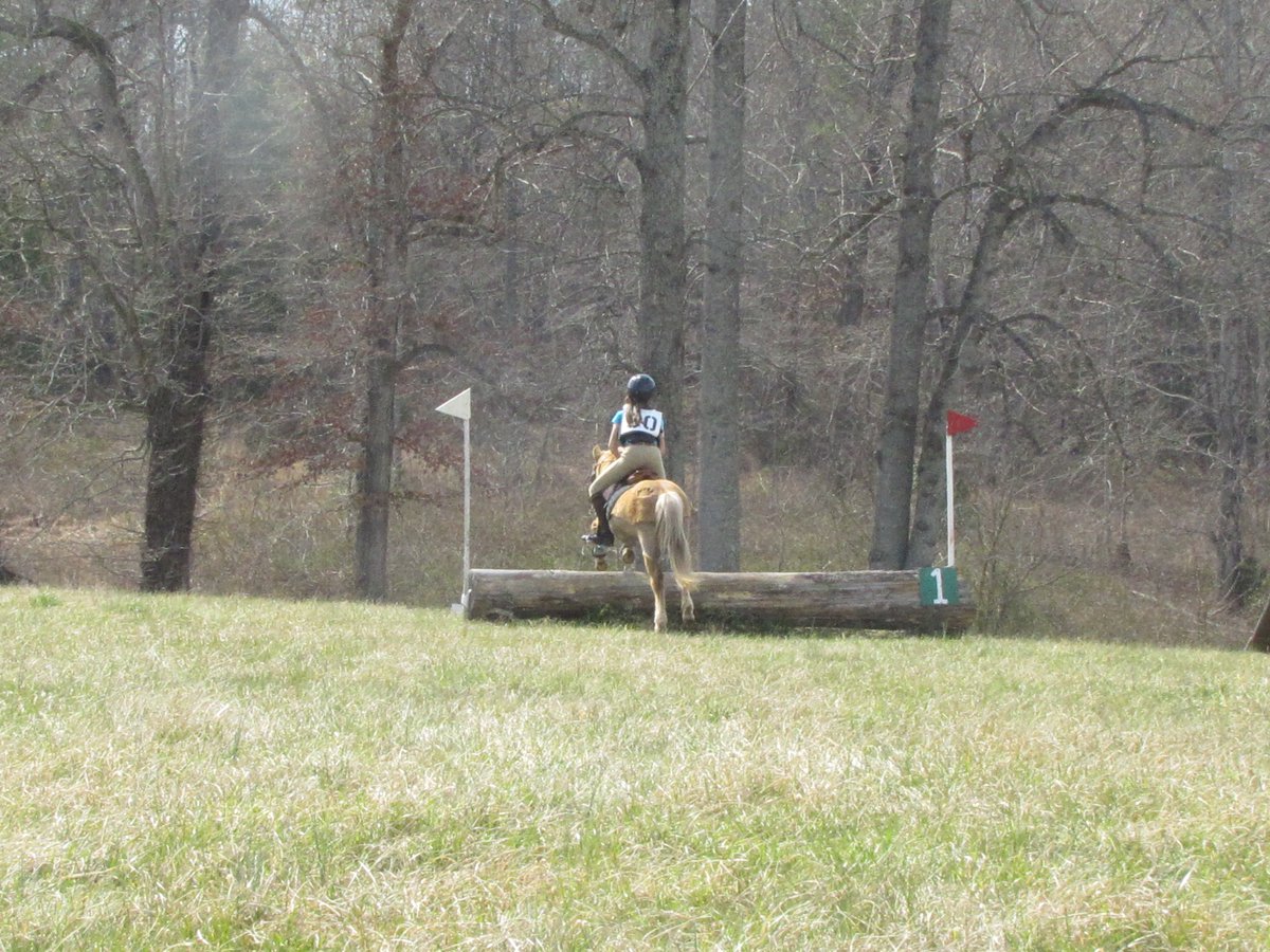 castlefarm tweet media