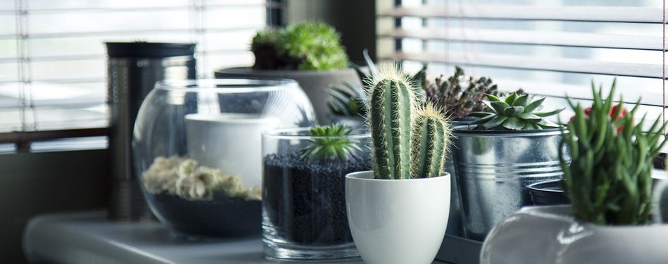 elainebeare's tweet image. How to Create a More Personal, Productive Workspace via @switchandshift #PersonalWorkspace #Productivity  bit.ly/2s8FpzP