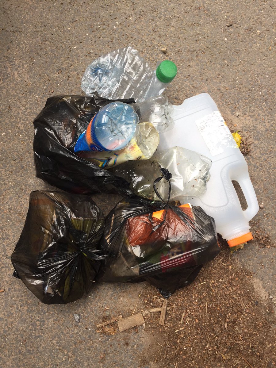ConvergenceICT's tweet photo. Woodland cleanup while walking the dog. Next time I'll take a rucksack! #30DaysWild https://t.co/8XomLjXEgW