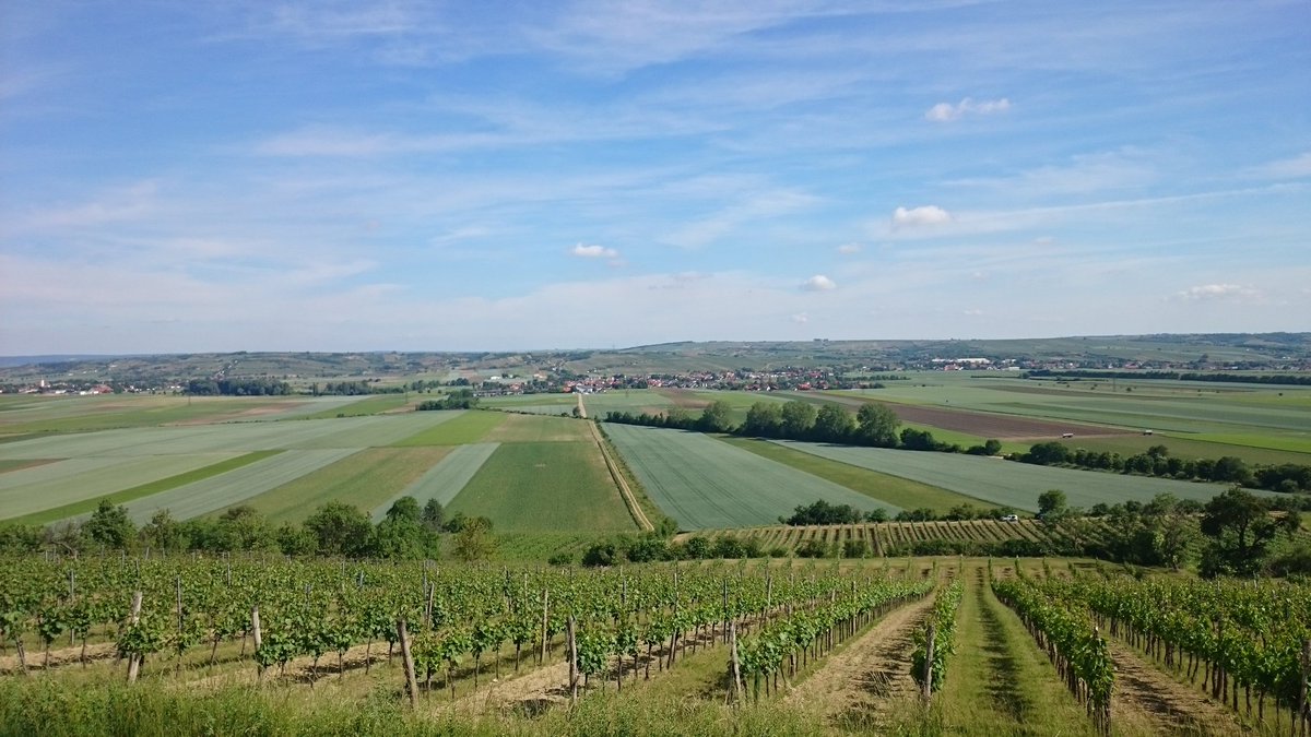 Fe1ipe__'s tweet image. Home sweet home 😊 #Pulkautal