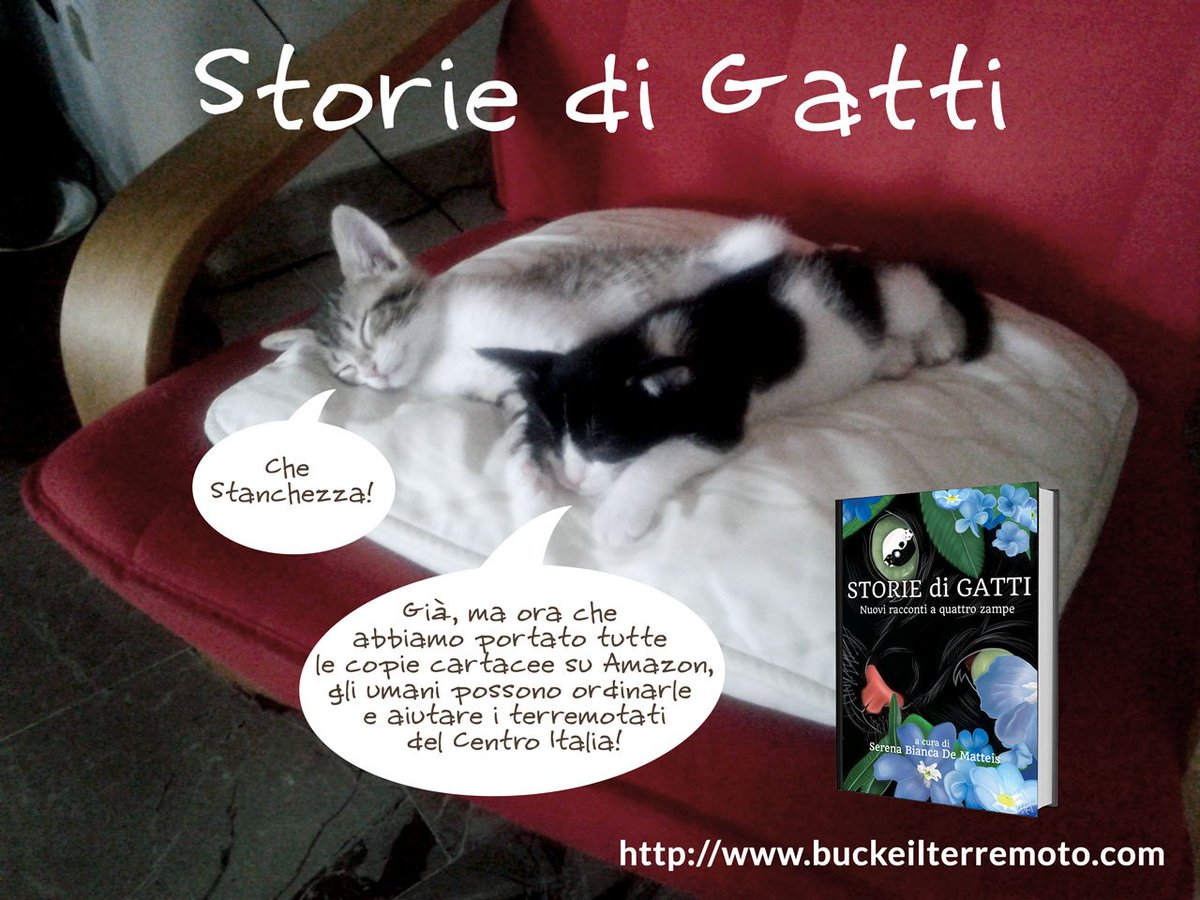 ilfabulator's tweet photo. È uscito anche in cartaceo. Non ci sono più scuse, acquistate la vostra copia! 😸 Altrimenti... 😾https://t.co/1Fp49dBkJT#terremoto #libri https://t.co/MsRcSvY5HT