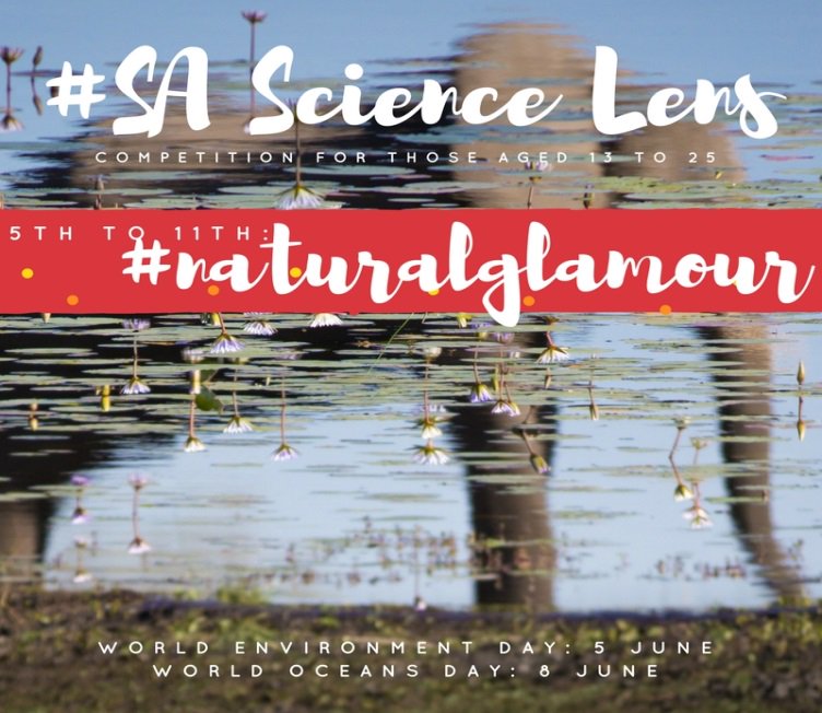 NRF_SAASTA's tweet photo. #SAScienceLens 
We want to see your science snaps. Theme for week one: #naturalglamour click for more information 
https://t.co/eKVyKue2c6 https://t.co/RM1Sy9zyC9