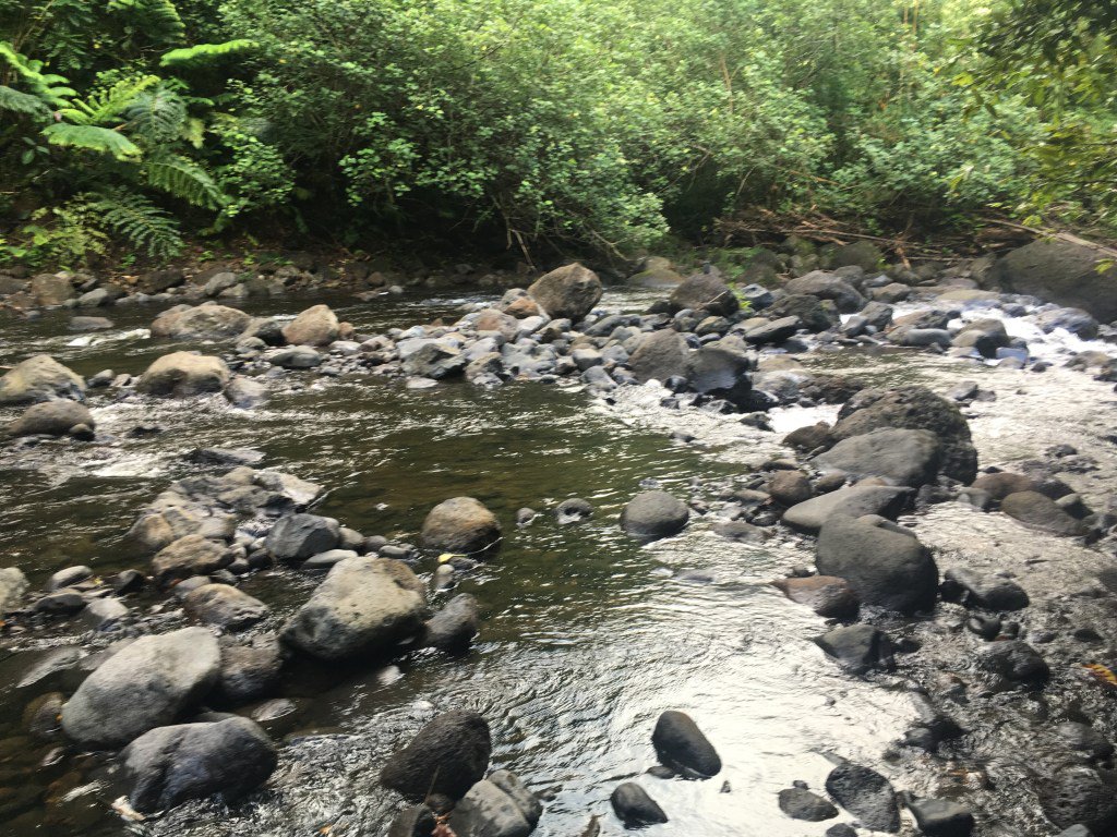 La vallée de Papenoo runfreerunner.wordpress.com/2017/06/05/la-…