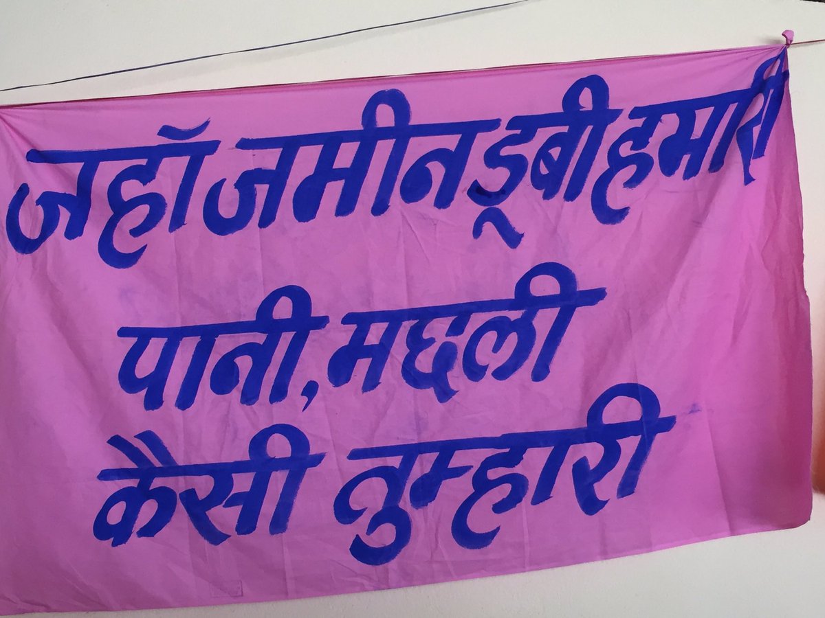 medhanarmada's tweet photo. 18000 trees to be cut in Narmada Valley, that's how MP govt celebrates #worldenvironmentday millions of trees at risk in narmada valley https://t.co/RjsX3zcyvK