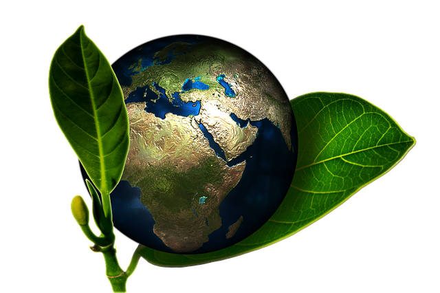 lacasaqueahorra's tweet photo. ¡Hoy celebramos el #DiaMundialMedioAmbiente! Una casa que ahorra es una casa que se preocupa por el medio ambiente https://t.co/1qorOQOzUY https://t.co/t1q7igVRRW