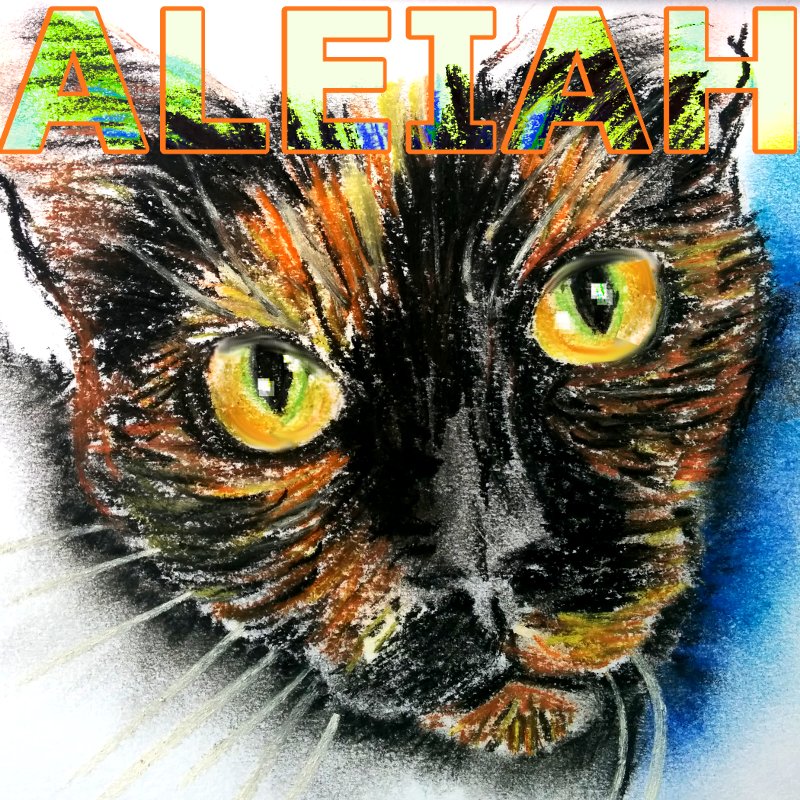 Abi Catlady tweet media