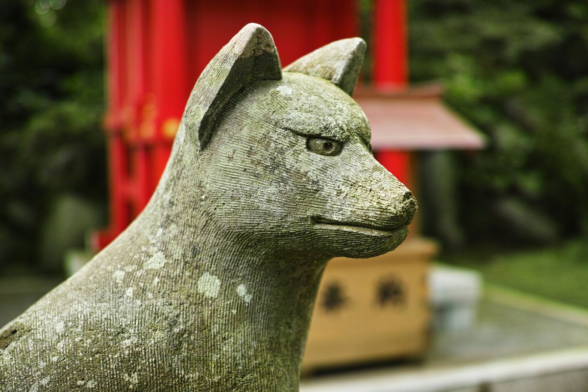 fishsushicorner's tweet photo. Kitsune es un animal muy importante en Japón, es el guardián de los bosques y aldeas. #japón #fishsushi #curiosidad #funny #sushi #cultura https://t.co/RwzX8y16SG