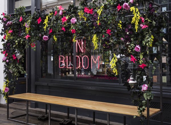 retailfocus's tweet photo. VM: Flowers have taken over the windows at @Miller_Harris https://t.co/k25lQqYFII #retail #retaildesign #windows #vm #MillerHarrisInBloom https://t.co/gpyfyFbVNx