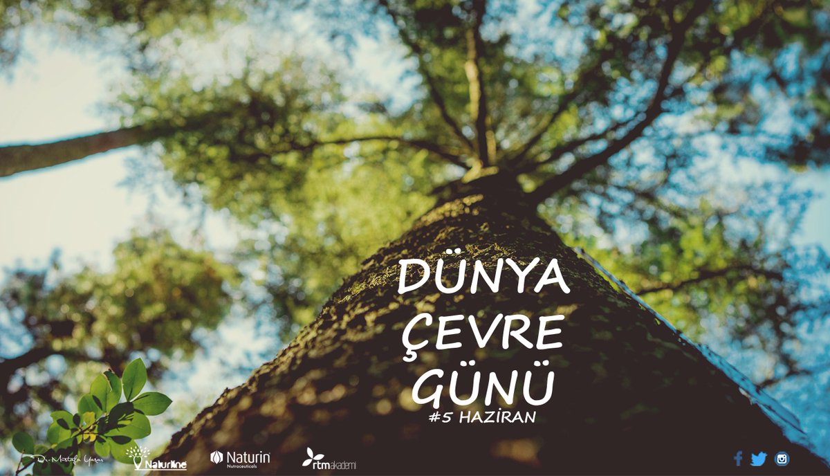 Çevremizi koruyalım, 
gelecek nesillerimize daha yeşil ve sağlıklı bir dünya bırakalım.#DünyaÇevreGünü